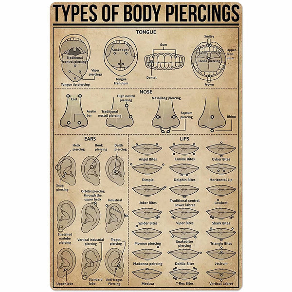 Types of Body Piercings Tin Sign Knowledge Popular Science Poster School Farm Garden Hospital Information Table Bar Garage Club Home Wall Decoration