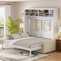 Queen Murphy Bed with Sofa - 2 - in - 1 Design, Storage Solutions & Dual - Piston Mechanism