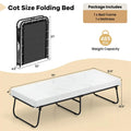 Cot Size Rollaway Guest Bed with Memory Foam Mattress, 75"x31" Portable Folding Bed with Heavy - Duty Metal Frame for Home Office Small Spaces