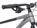 Kent Bicycles 29" Men'S Trouvaille Mountain Bike Medium, Black and Taupe