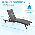AECOJOY Outdoor Chaise Lounge, All Weather Pool Lounge Chairs Ergonomic Design (Dark Grey, 2 PCs)