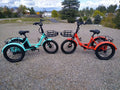 ABORON 3.0 Fat Tire Electric Trike for Senior Foldable E - Bike, 500W Motorized Tricycle Adult 20" Folding 3 Wheel Electric Commute Bike Trike W/48V