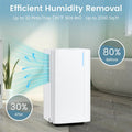 32 Pint Dehumidifier with 3.3FT Drain Hose, 24H Timer & 3 - Color Indicator, 2000 Sq.Ft Portable Dehumidifier for Basement, Bedroom, Bathroom