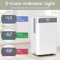 32 Pints 2000 Sq.ft Basement Dehumidifier with Drain Hose, 24H Timer & 3 - Color Indicator, Quiet Portable Dehumidifier for Home, Bedroom, Bathroom