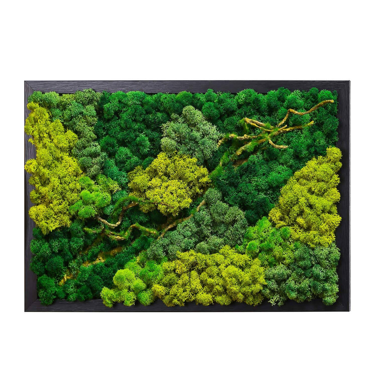 LVZHIHUAN Moss Wall Decor Real Preserved Moss No Maintenance Required Eco Natural Green Wall Art Moss Frame Living Plants Vertical Garden 19.7