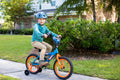 Wheels 16" Bike