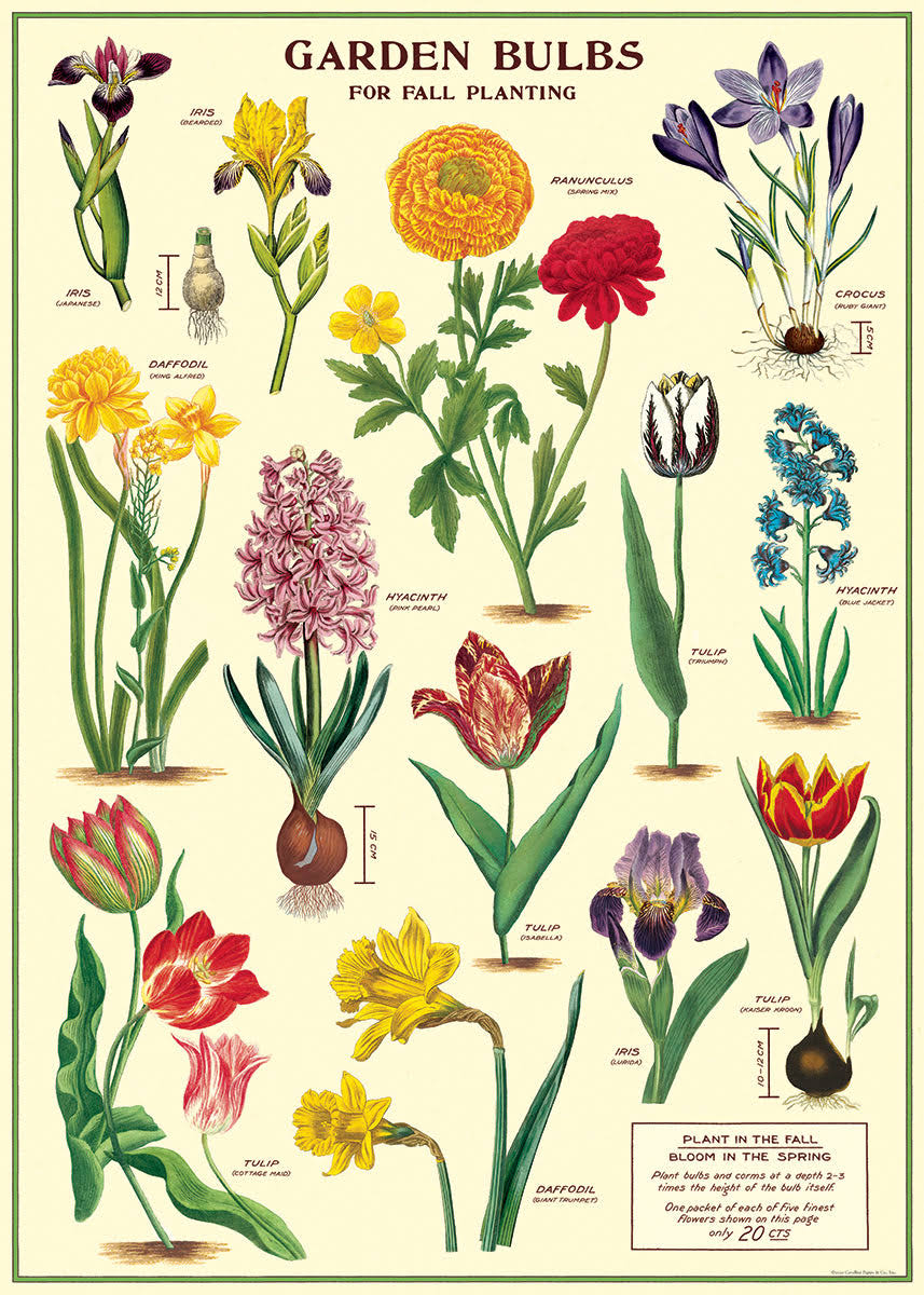 Poster Wrap (Garden Bulbs)