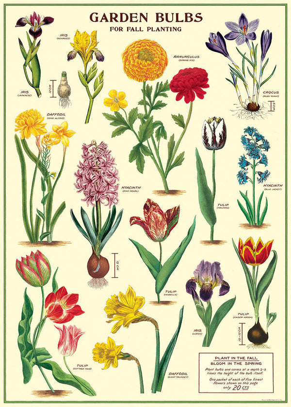 Poster Wrap (Garden Bulbs)
