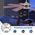 Dextrus 60 in Modern LED Outdoor/ Indoor Ceiling Fan with Remote Control