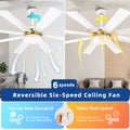 Dextrus 60 in Modern LED Outdoor/ Indoor Ceiling Fan with Remote Control