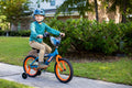 Wheels 16" Bike